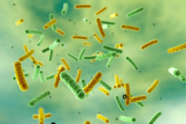 How to Improve Septic System Health microbes Aquarius SC